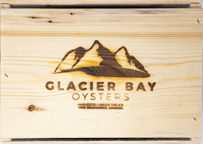 OYSTER 100 CT - GLACIER BAY CASE LIVE