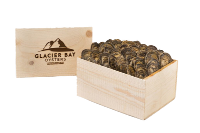 OYSTER 100 CT - GLACIER BAY CASE LIVE