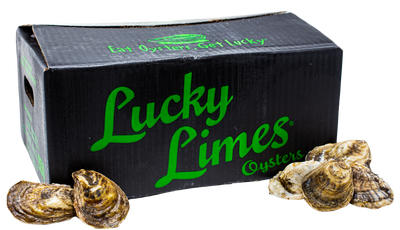 OYSTER 100 CT - LUCKY LIME OYSTERS CASE LIVE