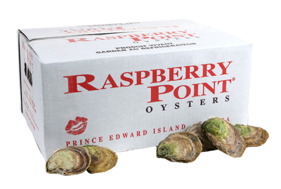 OYSTER 100 CT -RASPBERRY POINT CASE LIVE