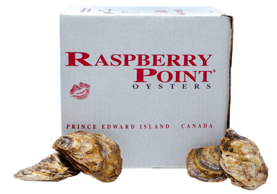 OYSTER 33 CT -RASPBERRY POINT CASE LIVE