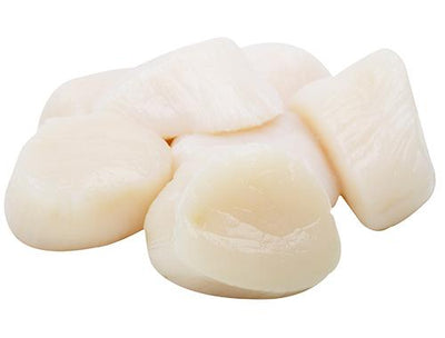 FRESH SCALLOP U/10 ** DRY ** BY/LB