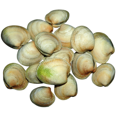 CLAMS PASTANECK 5 LB BAG