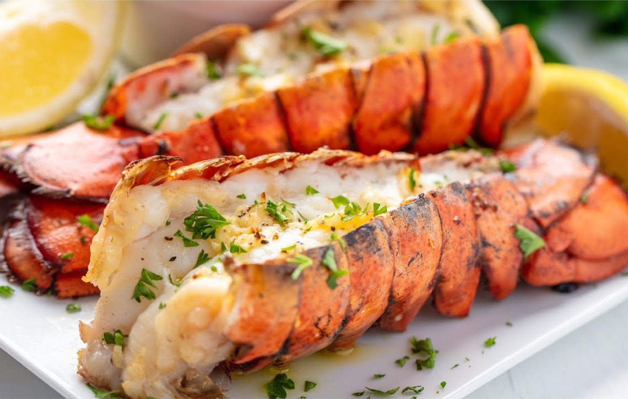 Baked Lobster ...mmm!
