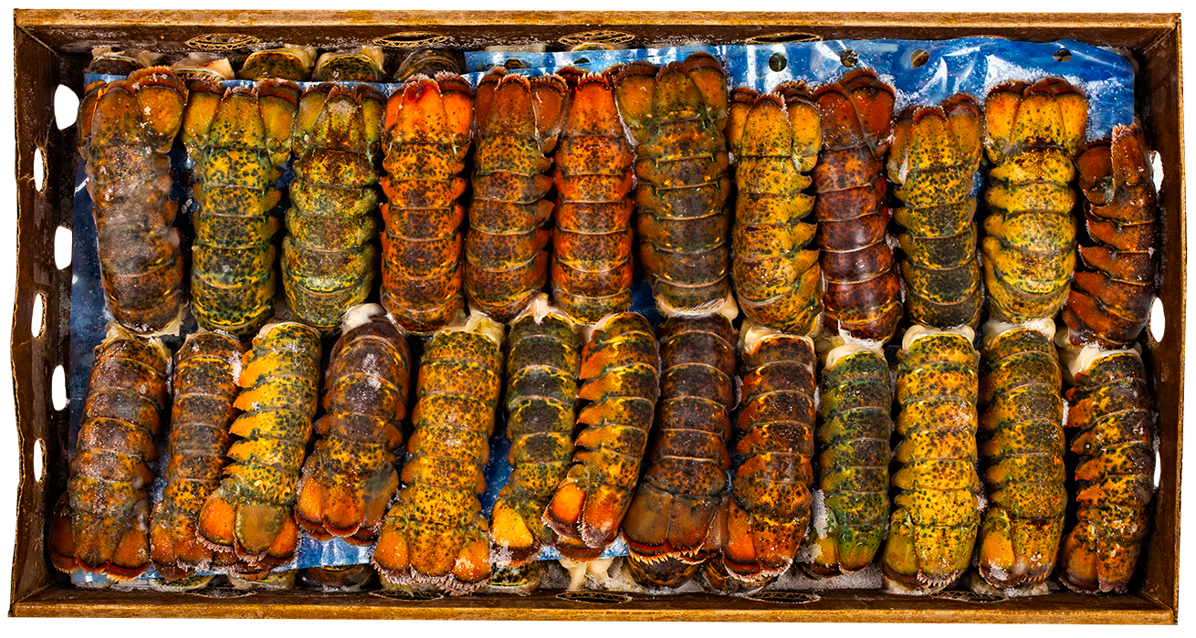 LOBSTER TAILS 2-3oz BY THE CASE 10 LB FROZEN