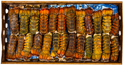 LOBSTER TAILS 2-3oz BY THE CASE 10 LB FROZEN