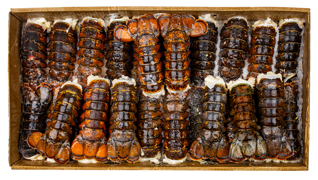 LOBSTER TAILS 5-6oz BY THE CASE 10 LB FROZEN