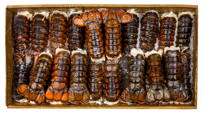 LOBSTER TAILS 5-6oz BY THE CASE 10 LB FROZEN