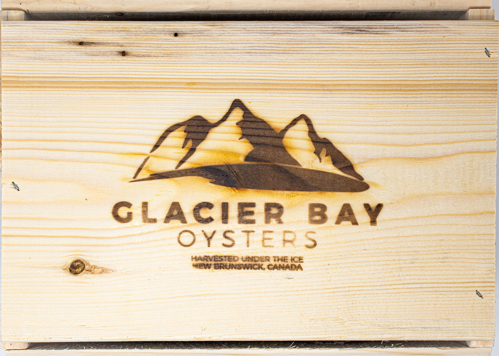 OYSTER 100 CT - GLACIER BAY CASE LIVE