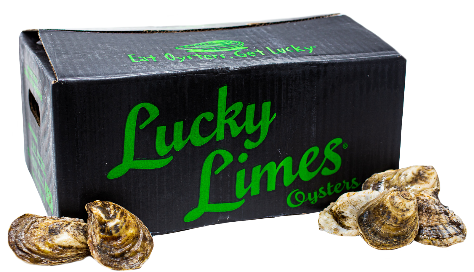 OYSTER 100 CT - LUCKY LIME OYSTERS CASE LIVE