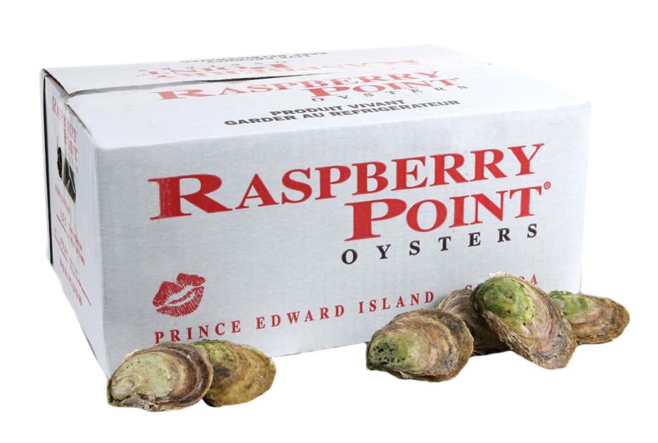 OYSTER 100 CT -RASPBERRY POINT CASE LIVE