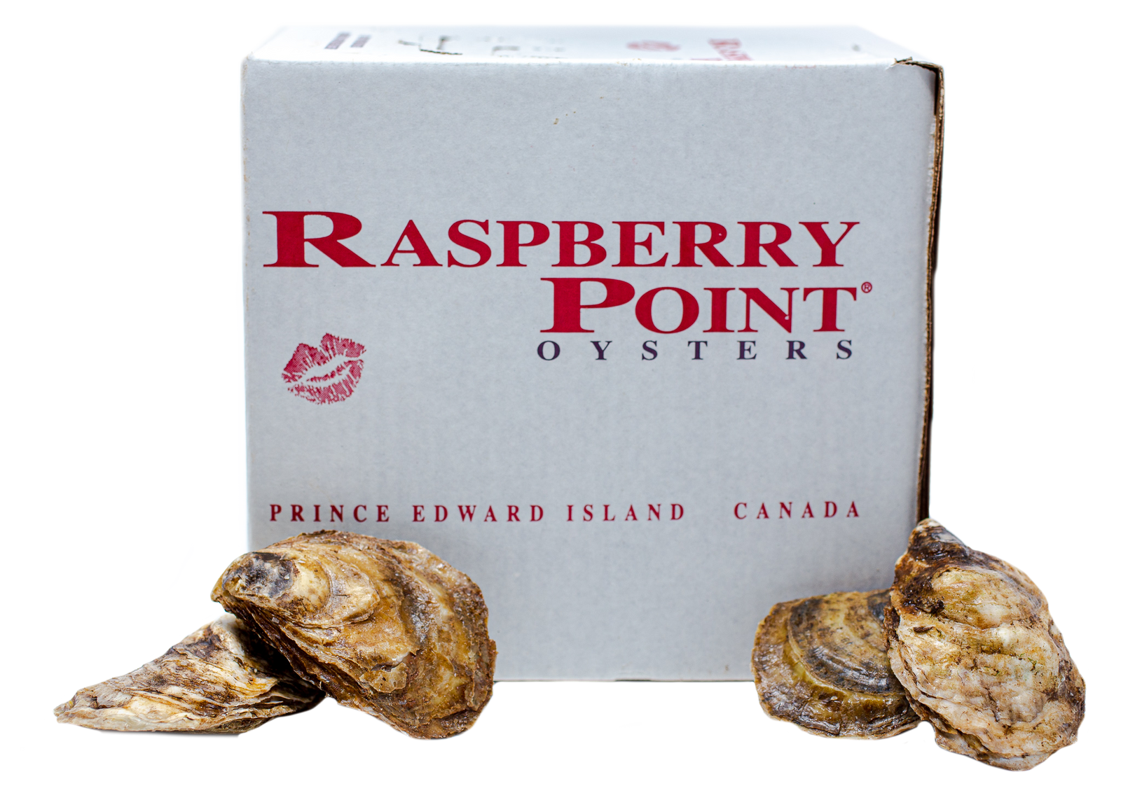 OYSTER 33 CT -RASPBERRY POINT CASE LIVE