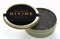 Northern Divine Sturgeon Caviar 30g