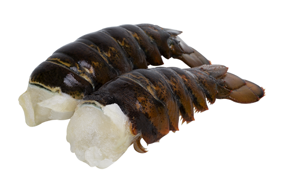 LOBSTER TAILS 3-4oz BY THE CASE 10 LB