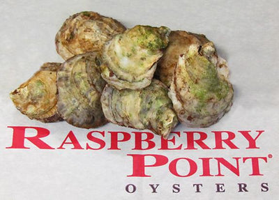 OYSTER 100 CT -RASPBERRY POINT CASE
