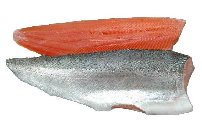 RAINBOW TROUT FILLET BY LB