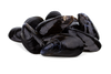MUSSELS CANADIAN COVE 908g