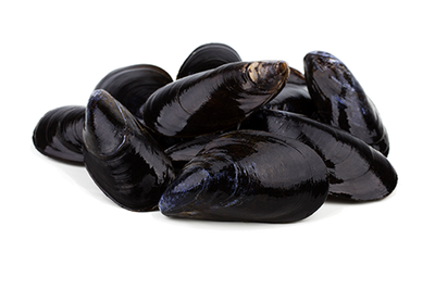 MUSSELS CANADIAN COVE 908g